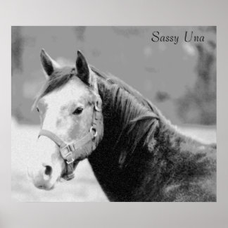 サシーウナプリント ポスター