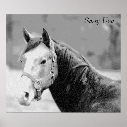 サシーウナプリント ポスター (正面)