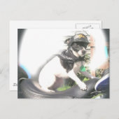 サシーバイクもしくは自転車に乗る人ラットテリアバーベ ポストカード (正面/裏面)