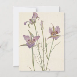 サジェブラッシュマリポサバイマリオヴォーウォルコット ノートカード