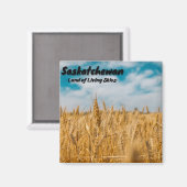 サスカチュワン小麦畑 マグネット (正面/裏面)