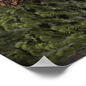 サスカッチ ポスター (角)