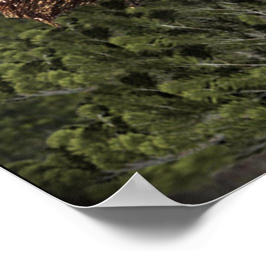 サスカッチ ポスター (角)