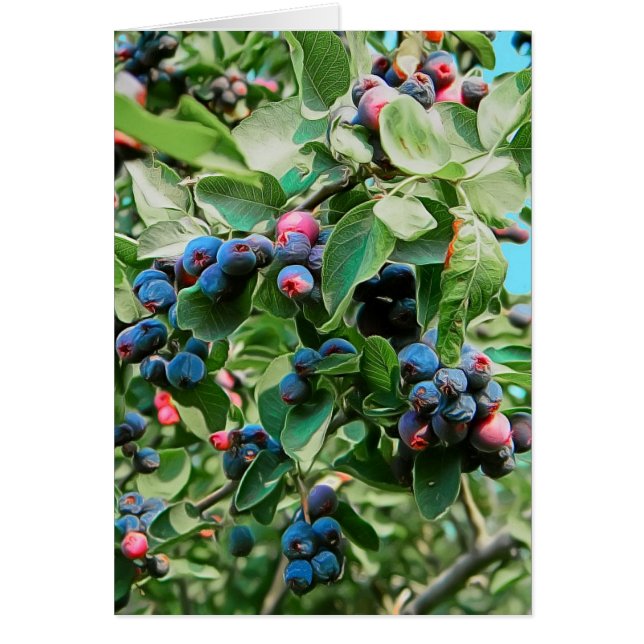 サスカトゥーン (正面)