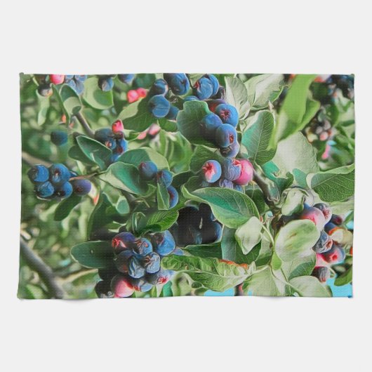 サスカトゥーン キッチンタオル (横)