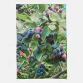 サスカトゥーン キッチンタオル (縦)