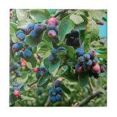 サスカトゥーン タイル (正面)