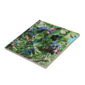 サスカトゥーン タイル (側面)