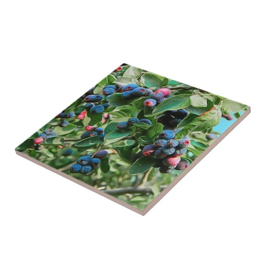 サスカトゥーン タイル (側面)