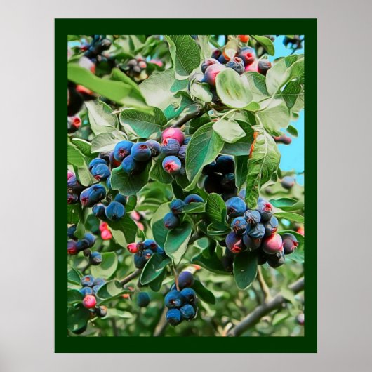 サスカトゥーン ポスター (正面)