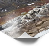 サスケハンナ川海岸線沿い フォトプリント            (角)