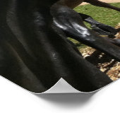 サスペンションブリッジ、ワコ、TX ポスター (角)