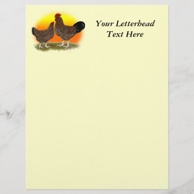 サセックスサンライズ (正面)