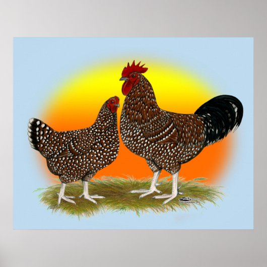 サセックスサンライズ ポスター (正面)