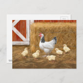 サセックスチキンママヘンアンドチックス ポストカード (正面/裏面)