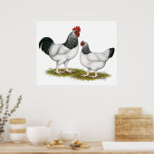 サセックス：ライトペア ポスター (キッチン)