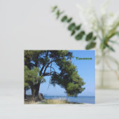 サソスビュースカララチョニ ポストカード (スタンド正面)