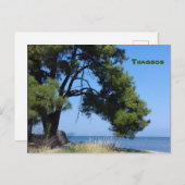 サソスビュースカララチョニ ポストカード (正面/裏面)