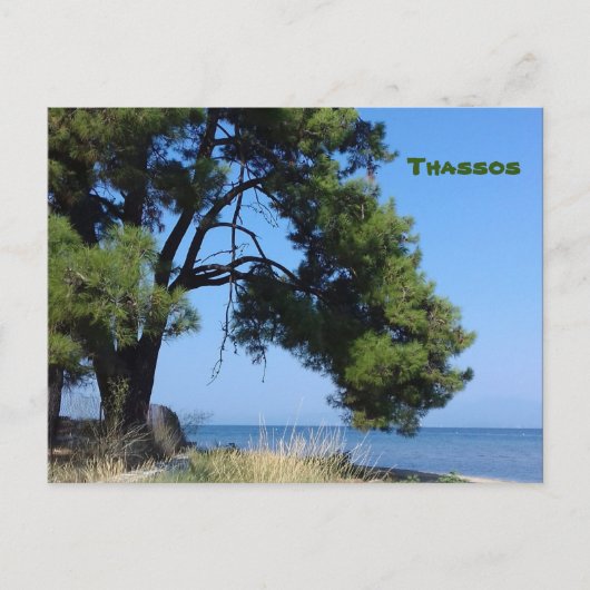 サソスビュースカララチョニ ポストカード (正面)