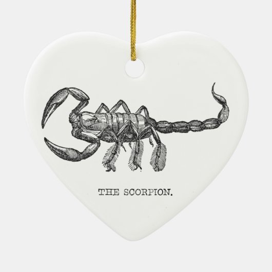 サソリの動物のギフト怖い動物 セラミックオーナメント (裏面)
