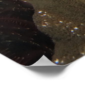 サソリの魚の視線を落とす ポスター (角)