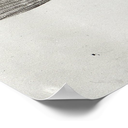 サソリ魚 ポスター (角)