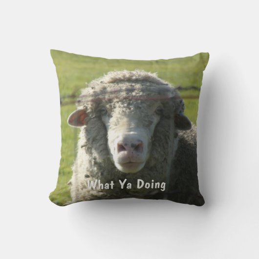サタービュッテスマウンテンレンジ奇妙な羊の枕 クッション (正面)