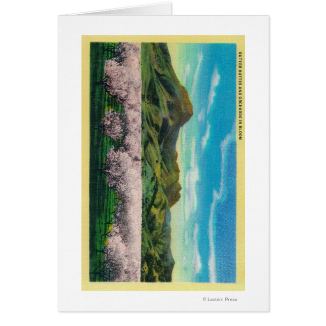 サタービュートとオルチャーズ開花 (正面)