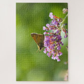 サチェム（アタルペデス・カンペストリ） ジグソーパズル (縦)