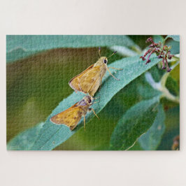 サチェム(アタルペデス・カンペストリ) ジグソーパズル