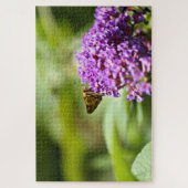 サチェム（Atalopedes campestris） ジグソーパズル (縦)