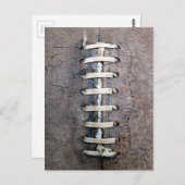 サッカーのストリング(垂直) ポストカード (正面/裏面)