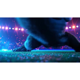 サッカーの巨大スタジアム 腕時計