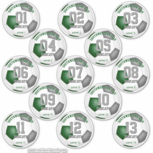 サッカーの緑の灰色のチームは13セットのギフトを彩る シール