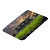 サッカーの試合,フォーサイスバールスタジアム,ダネジン マグネット (左側)