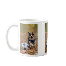 サッカーを遊んでいるコーギー