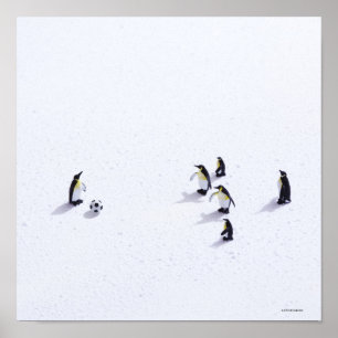 サッカーを遊んでいるペンギン ポスター