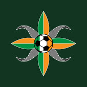 サッカーアイルランド伝統ゴールサッカーTシャツ Tシャツ