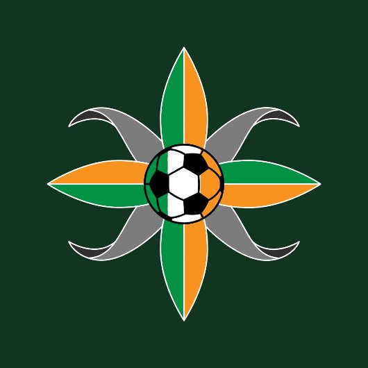 サッカーアイルランド伝統ゴールサッカーTシャツ Tシャツ