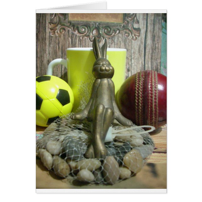 サッカークリケット観戦スポーツ (正面)