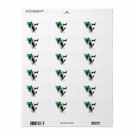 サッカーゴアリー ラベル (フルシート)