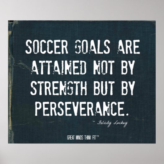 サッカーゴールのポスターRipped Denim 008 ポスター (正面)