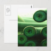 サッカーズ ポストカード (正面/裏面)