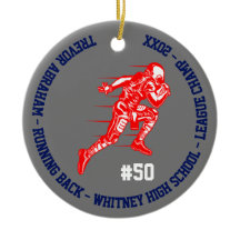 サッカーチャンピオンプレイヤースクールブルーグレーレッド