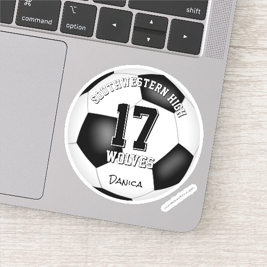 サッカーチームスピリットガールズチーム名 シール (詳細)