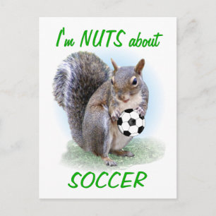 サッカーナット ポストカード