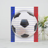 サッカーフランスの (スタンド正面)