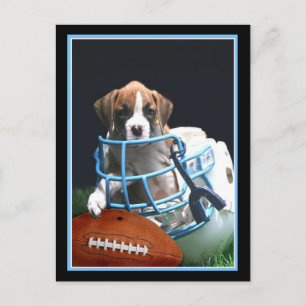 サッカーボクサーの子犬用はがき ポストカード