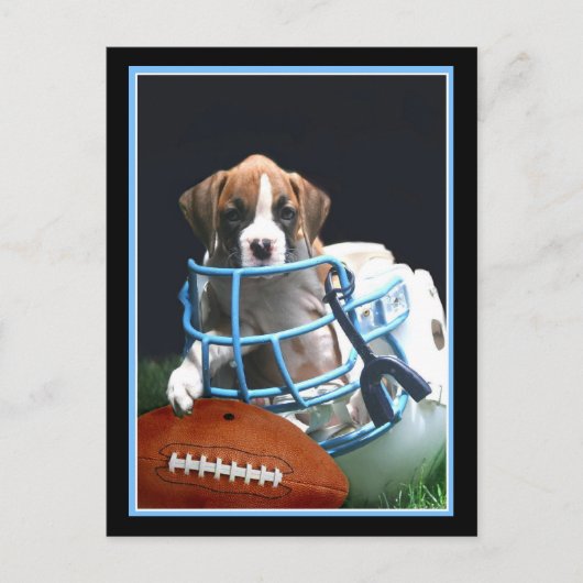 サッカーボクサーの子犬用はがき ポストカード (正面)