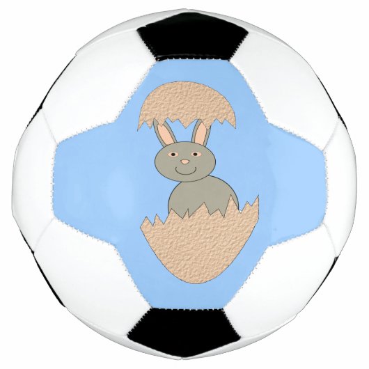 サッカーボールから孵化風変わりしたバニー サッカーボール (正面)
